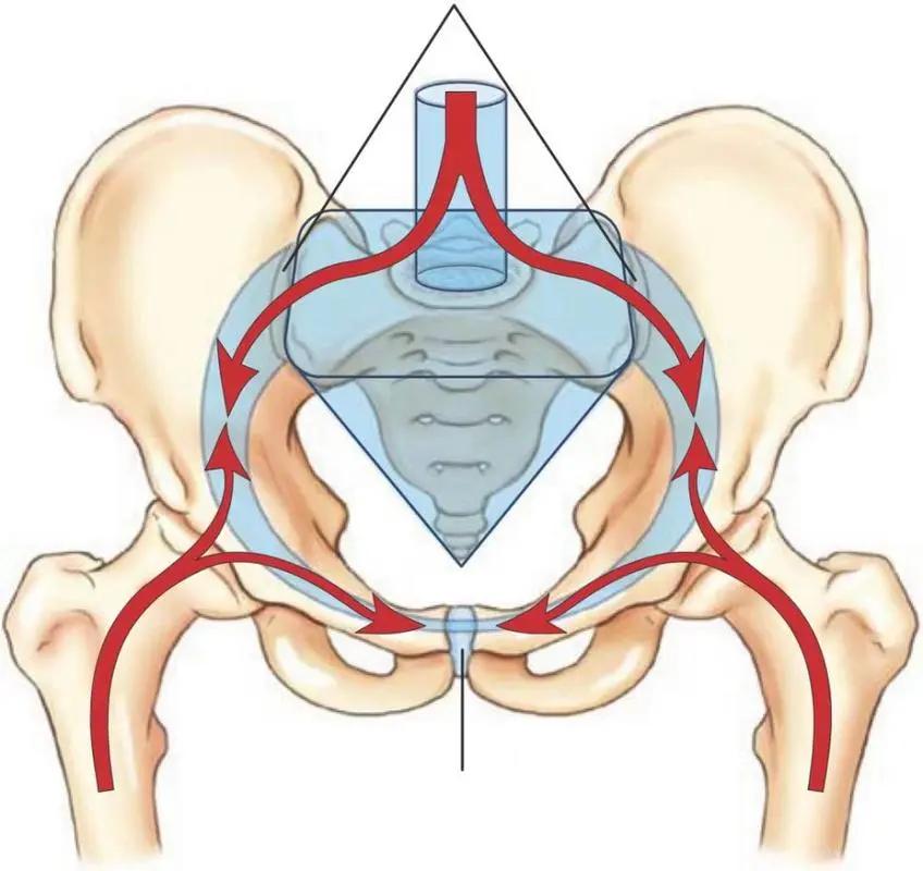 骨盆后环损伤后，新型螺钉的不同内固方法各有何优势？哪种方法好