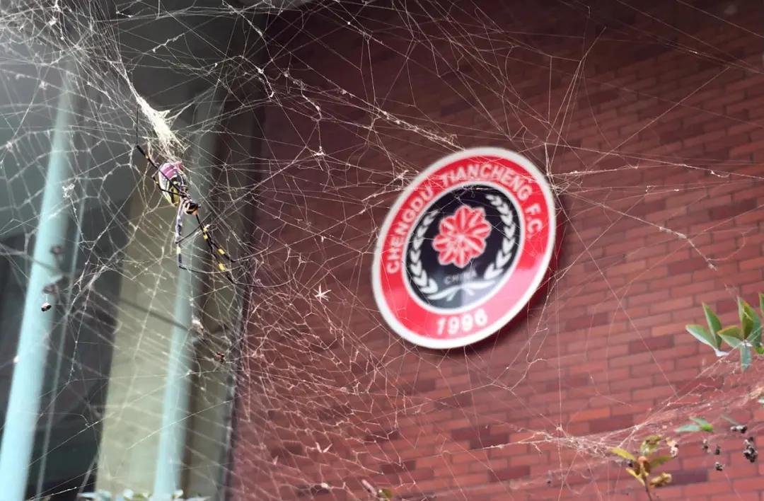 四川足球时隔十年重返中超,四川球队时隔十年重返中超