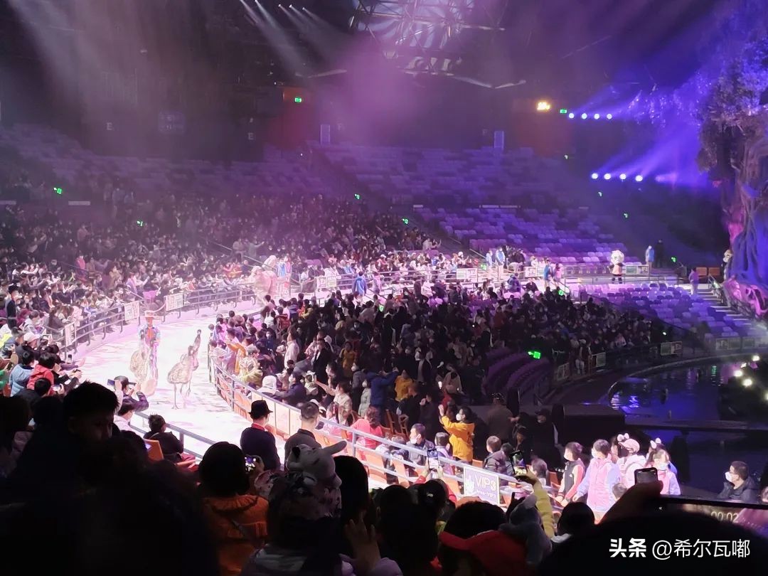 长隆游玩攻略推荐,长隆海洋王国游玩攻略大全视频