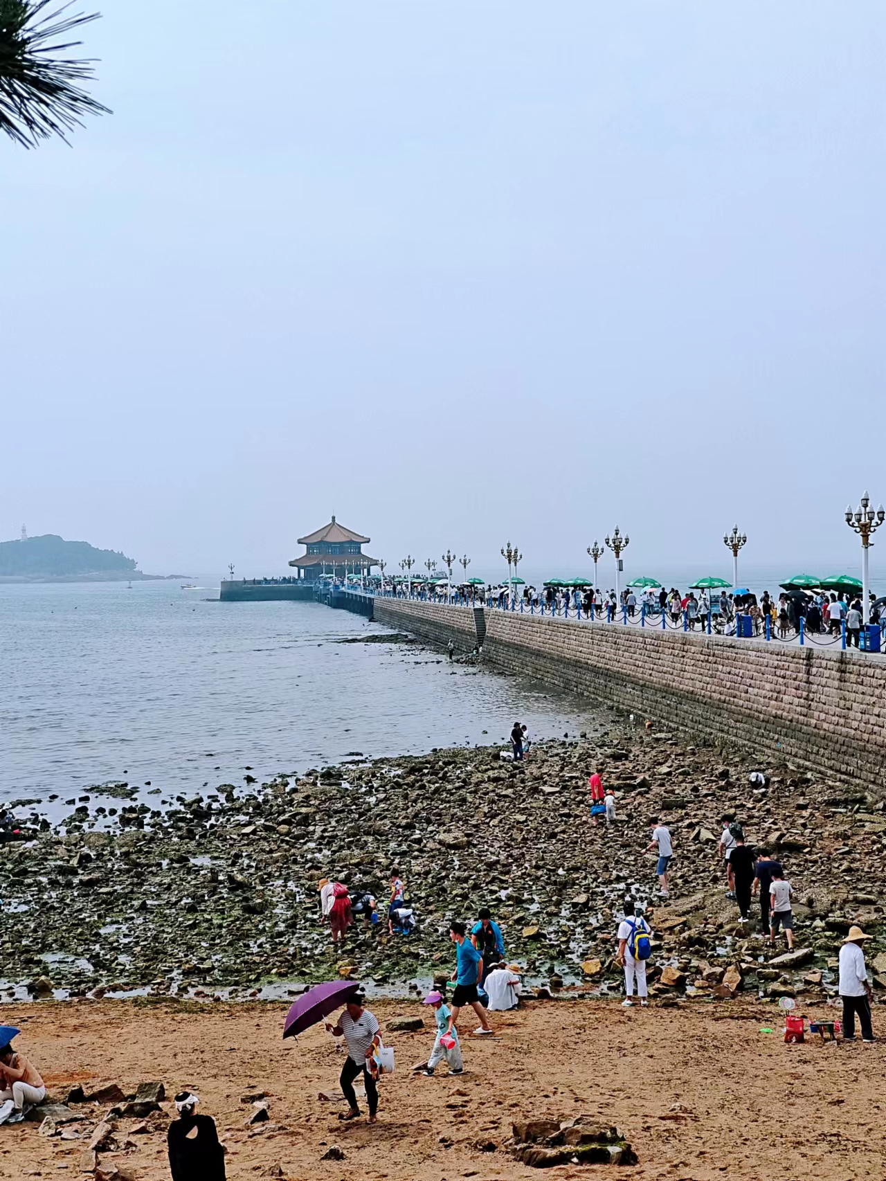 青岛今天到底有多冷,青岛今天的天气真热图片