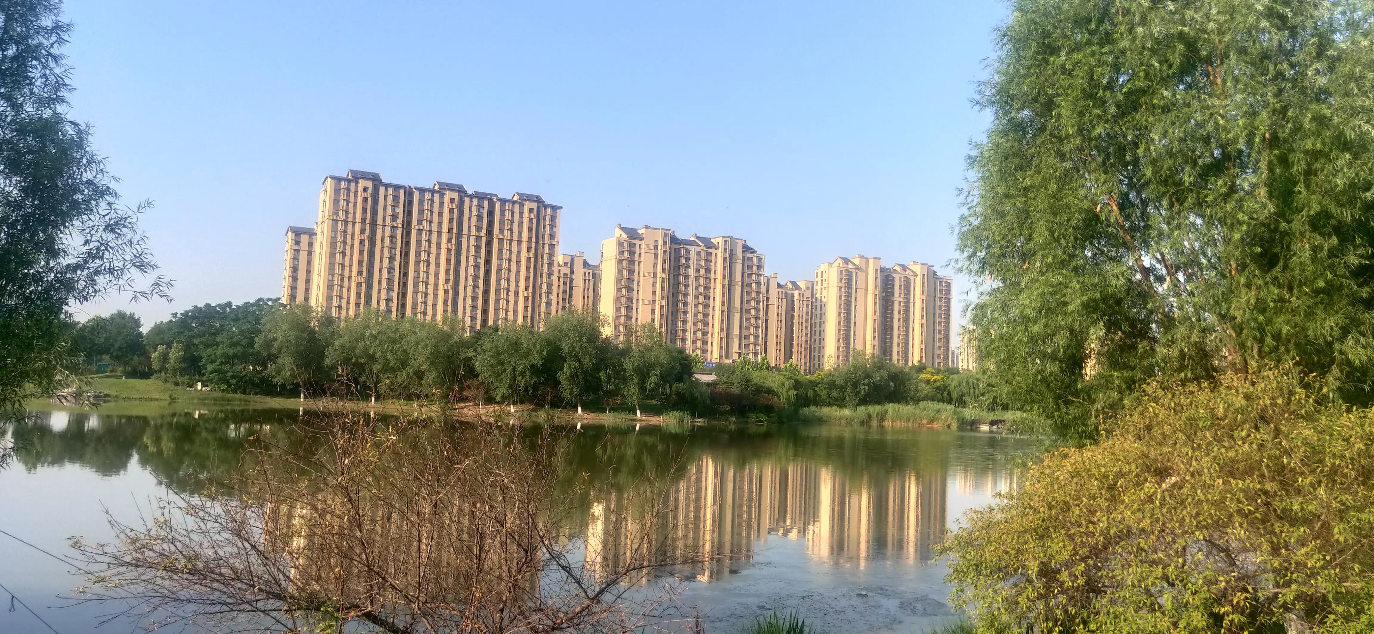 自己在家制作艾草熏香,家用艾草熏香精油