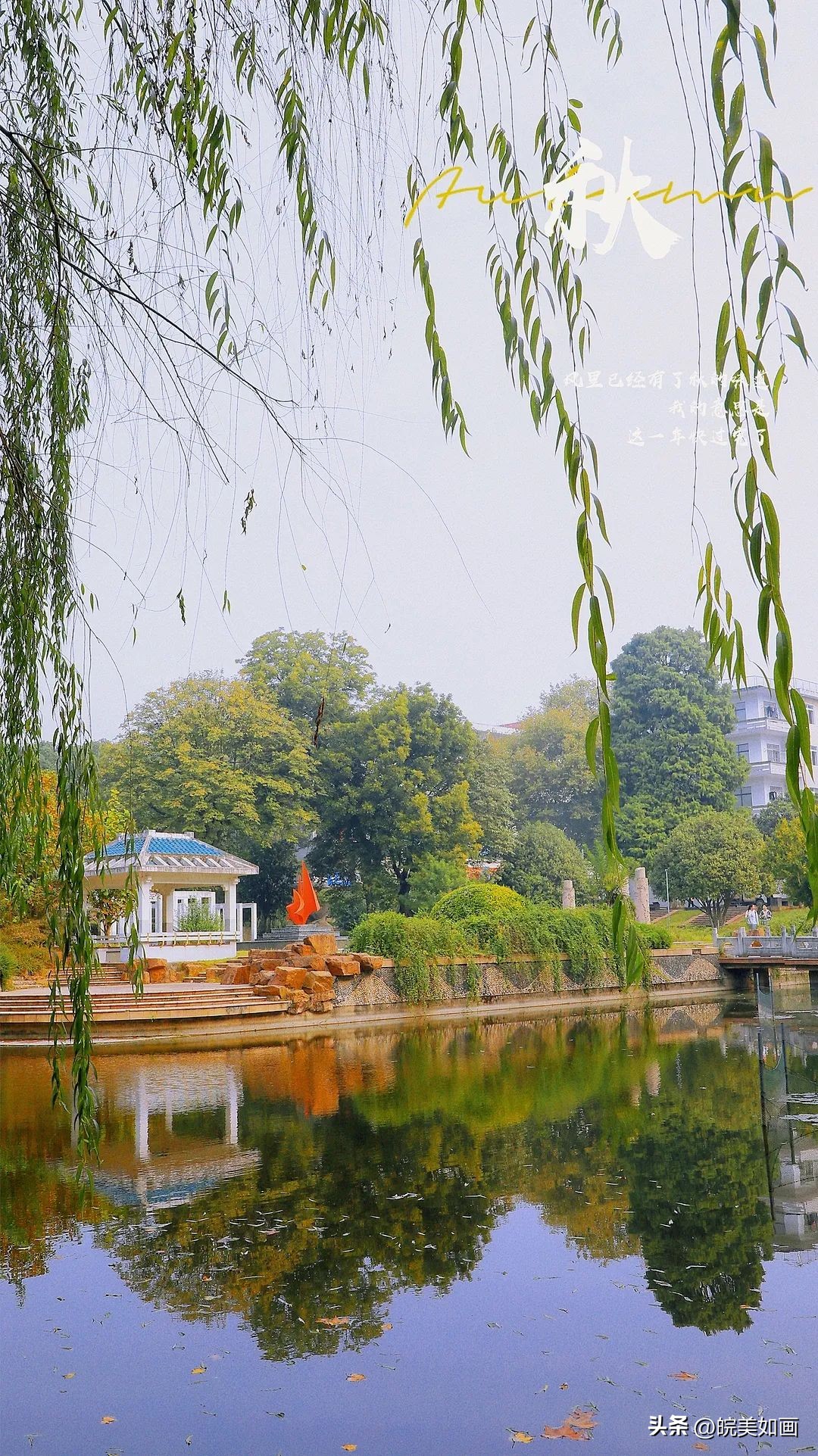安徽大学好看的风景,高校最美秋景