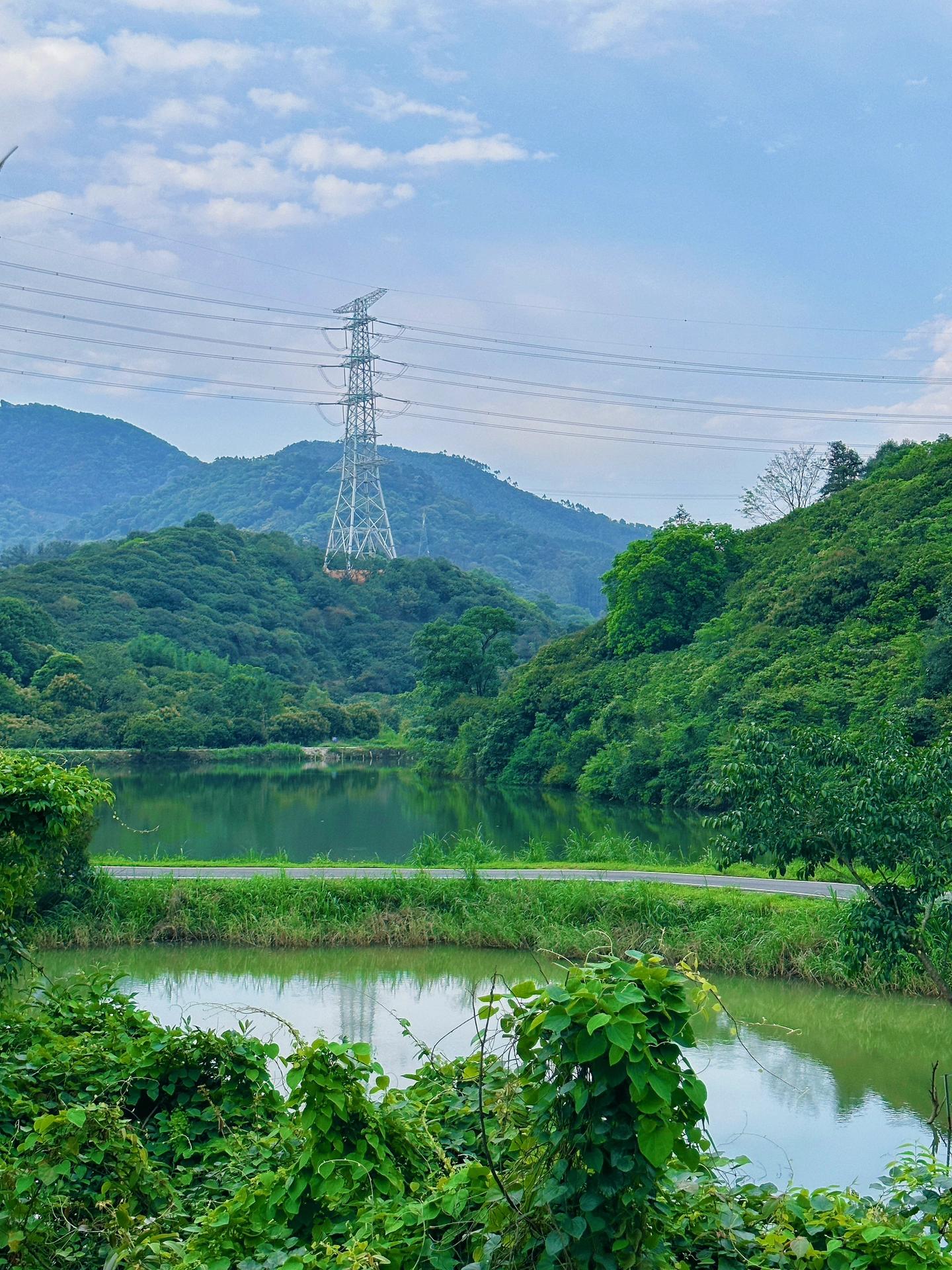 广州黄埔绿道游玩攻略,广州黄埔骑行绿道详细线路图