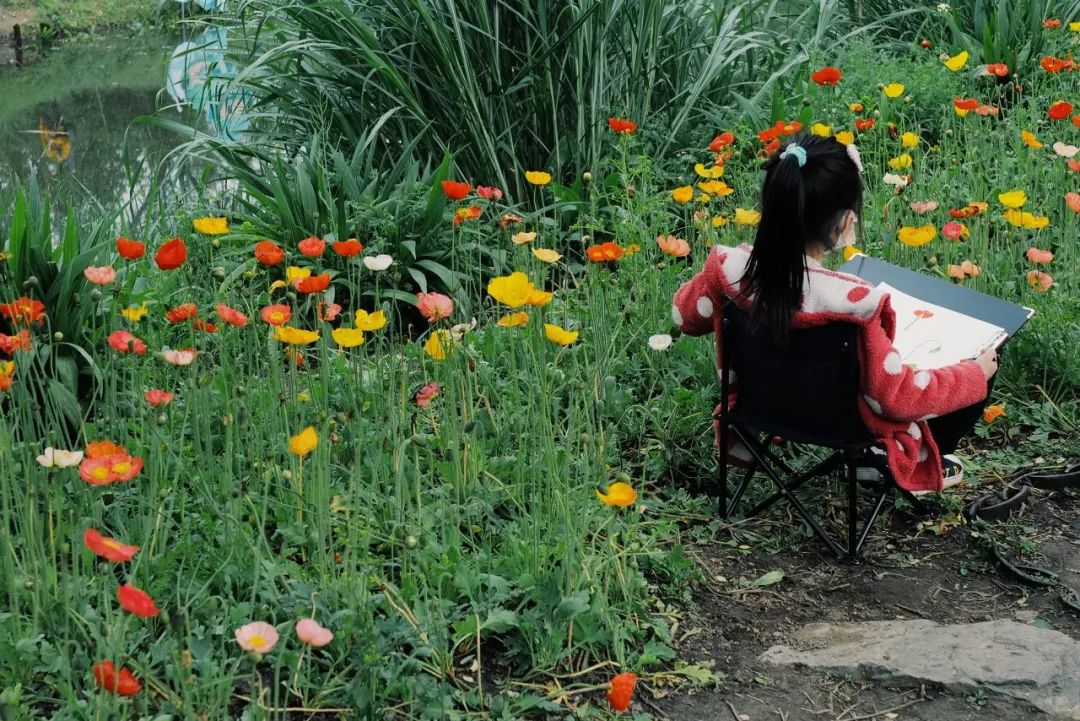 听我的，四月的杭州才是浪漫天花板。