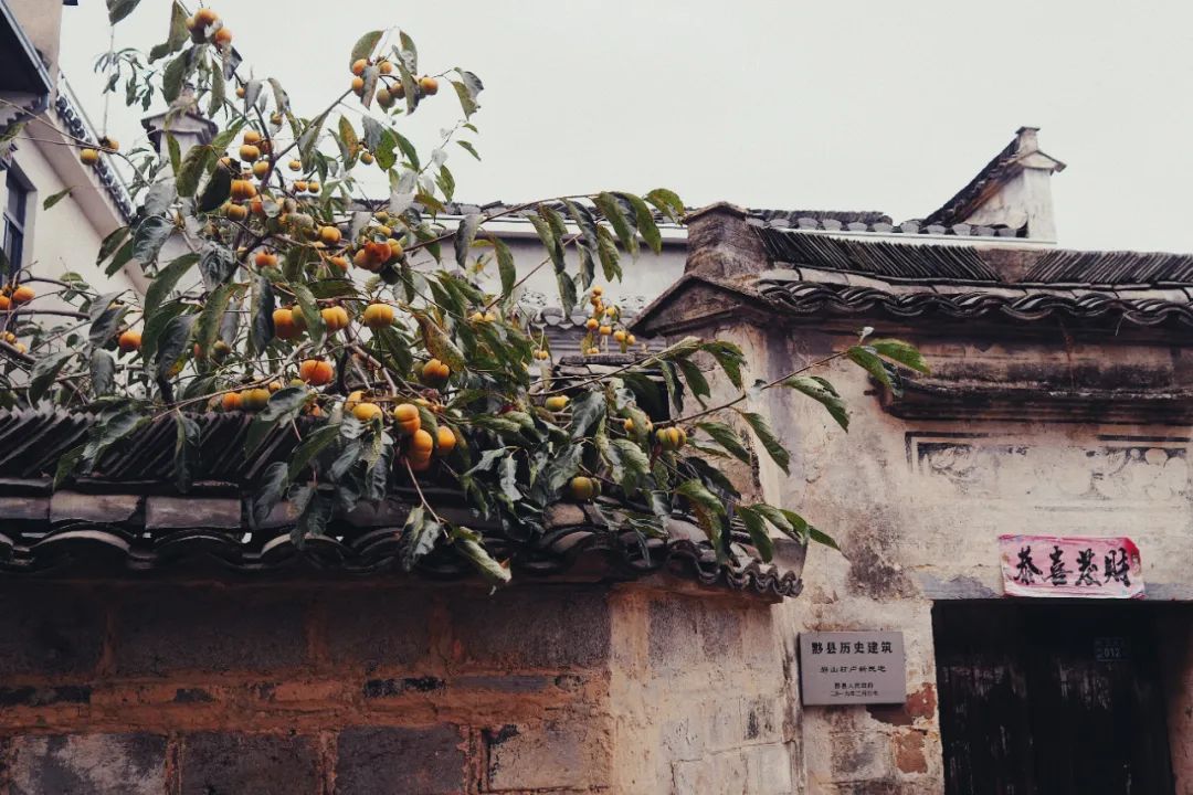 宏村小众景区,宏村山野小院