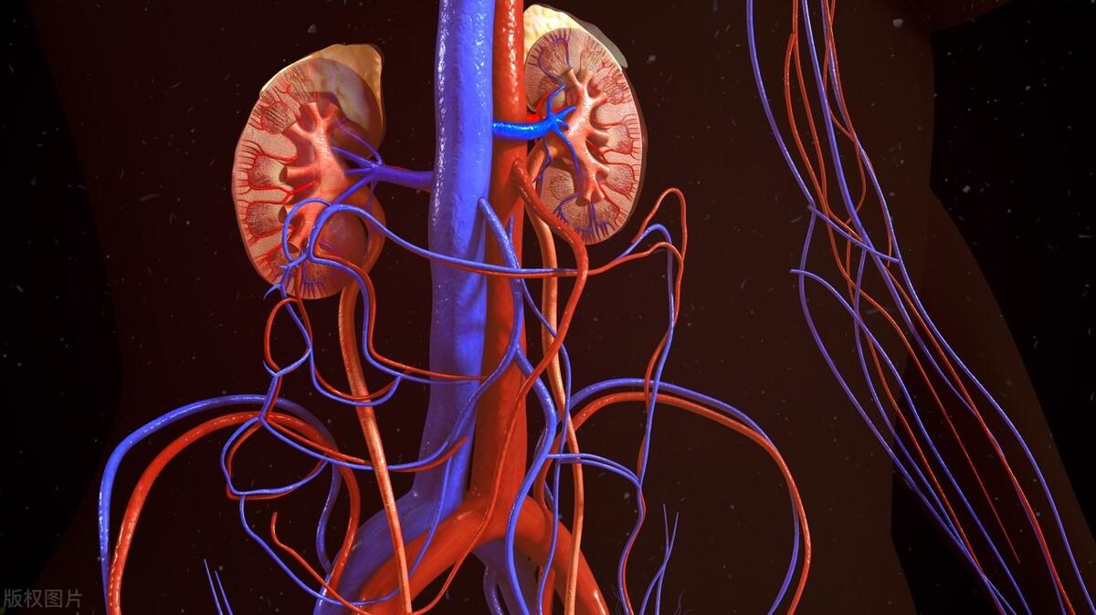 肾移植失败什么后果,肾移植失败有什么症状出现