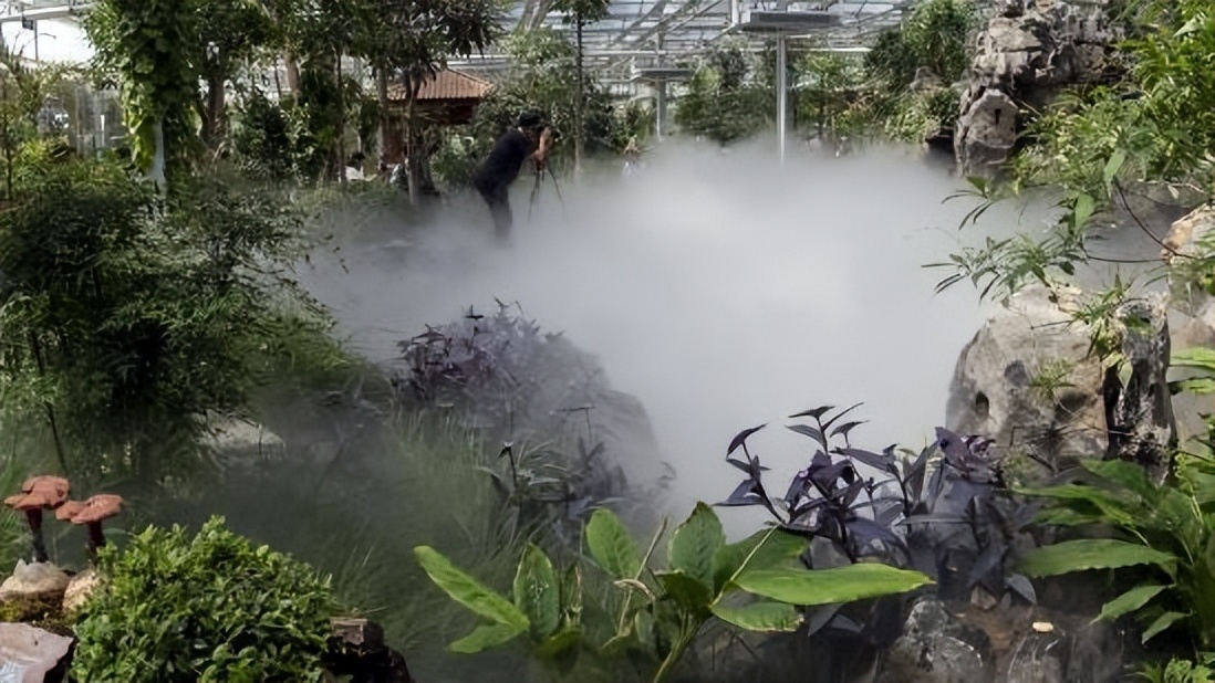 春华秋实农博园摘油桃,春华秋实农博园草莓采摘