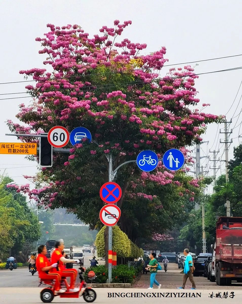 旅居海南：九所新区的浪漫情