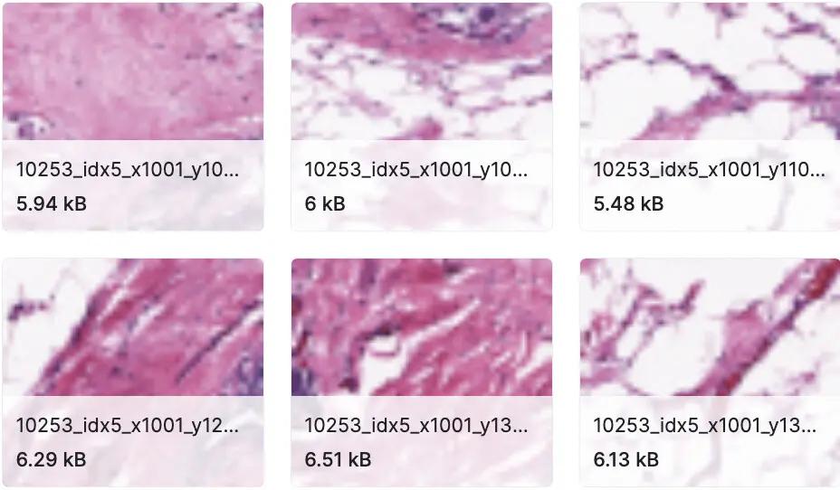 100+深度学习开源数据集分类汇总