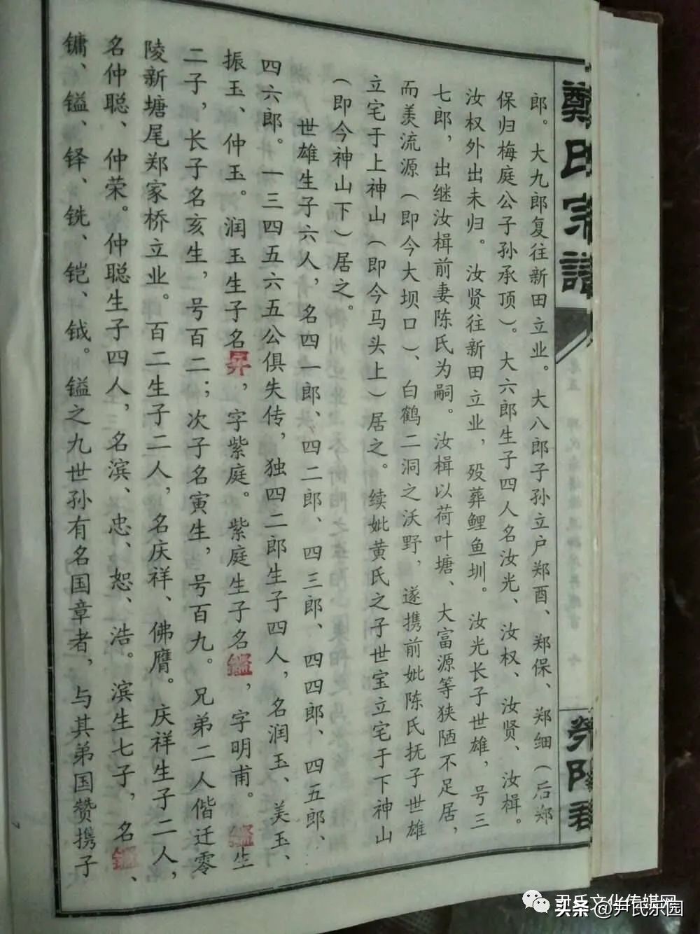 和美阳明·盛世花开：天下第一“和山”