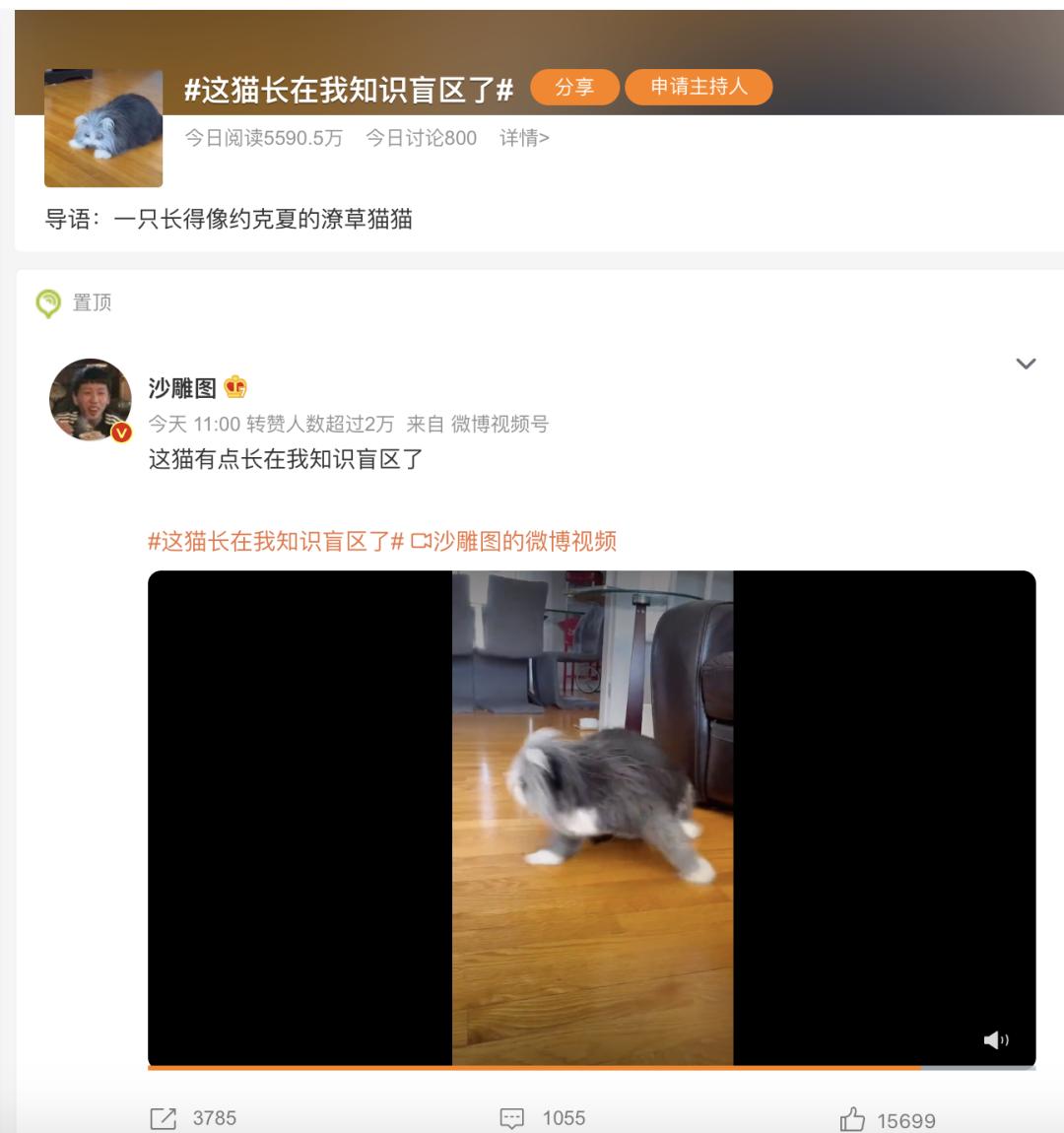 烟火营销洞察04期｜一文讲透2022年中国社交媒体平台——微博