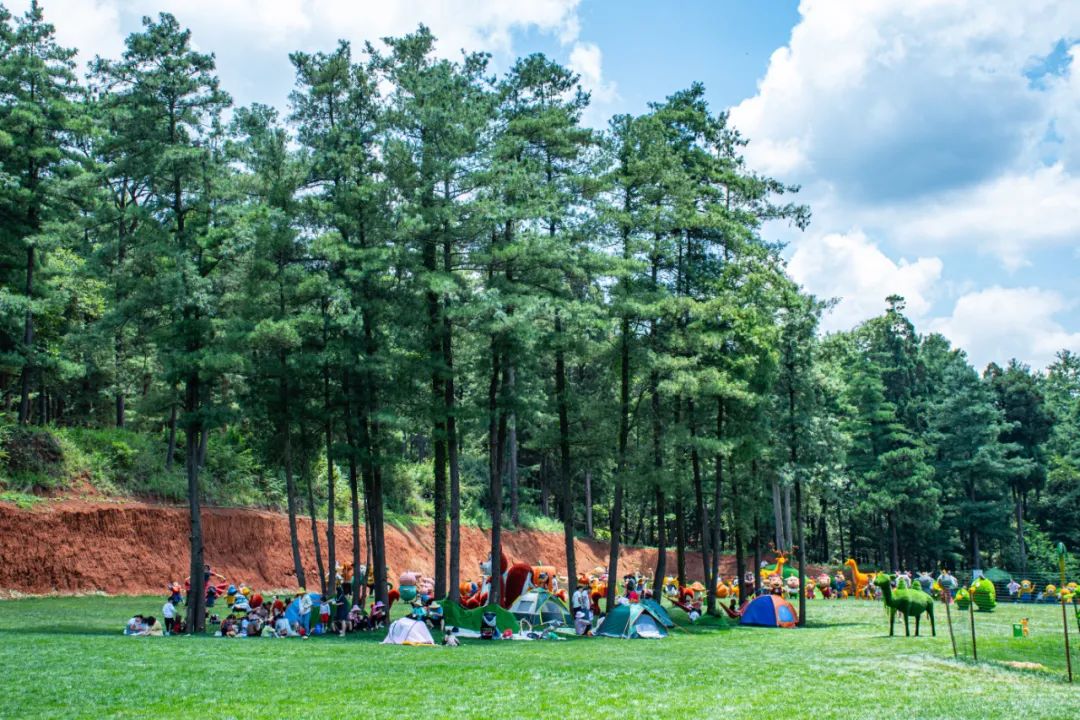 昆明国庆周边游露营,昆明春游露营的地方