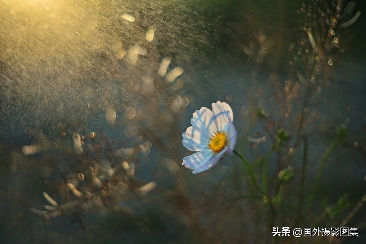 最美的景色秋天照片高清,夏天和秋天的绝美照片