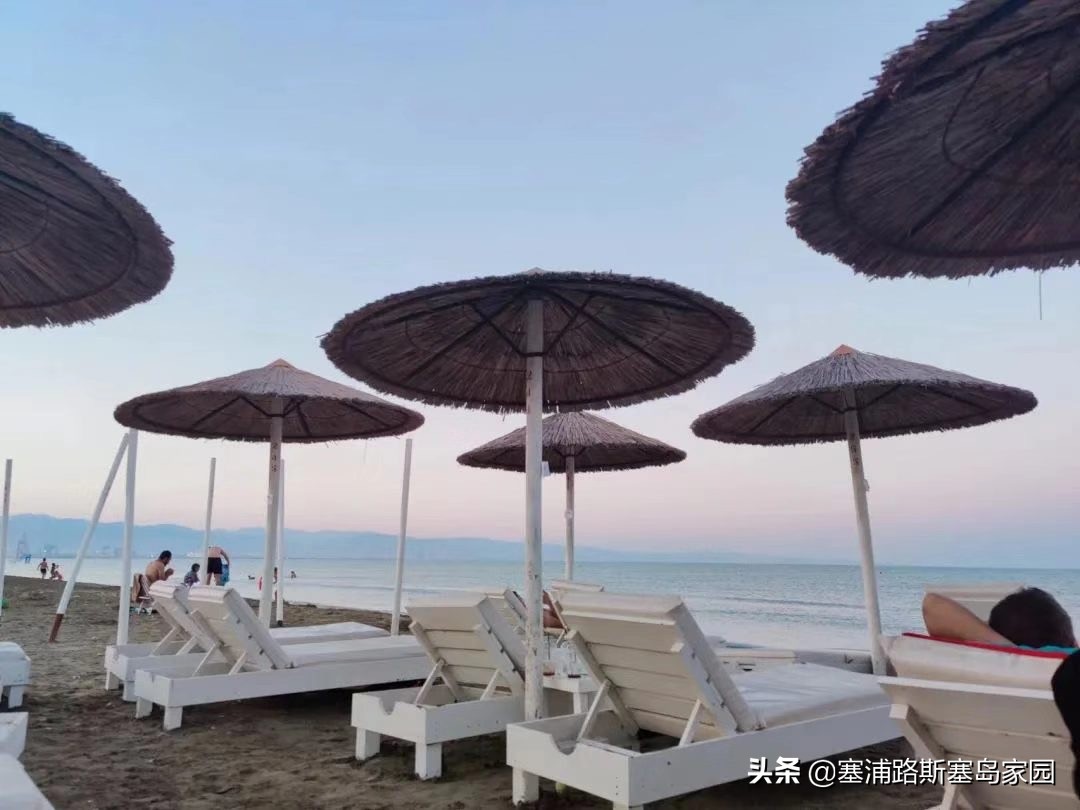 体育运动用中文怎么读,体育运动用英语怎么读