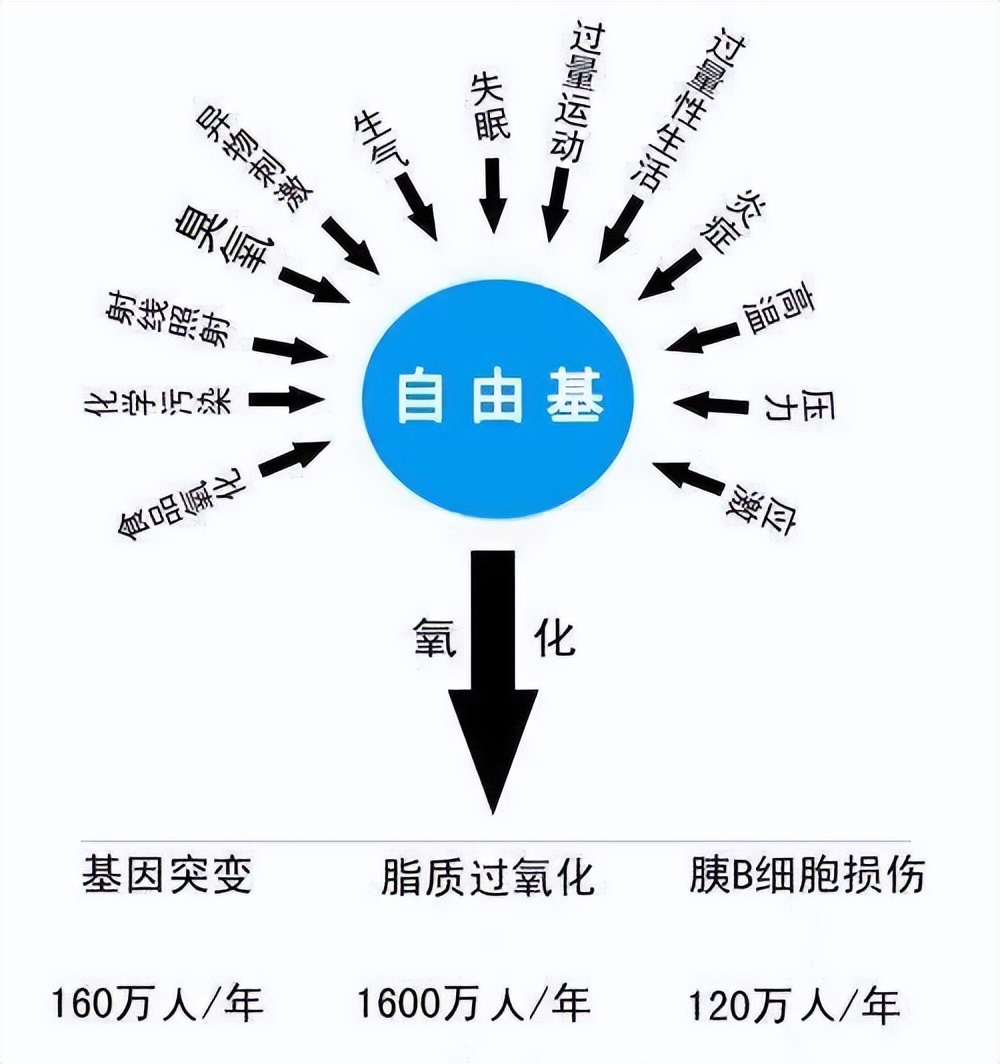 皮肤起皮用什么护肤品角鲨烷 (角鲨烷护肤效果好吗)