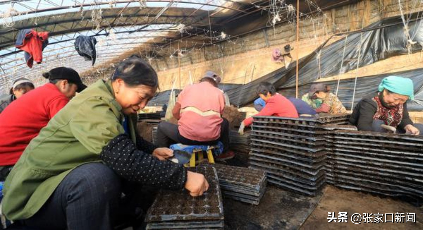 张家口陈飞,摄影师陈飞扬