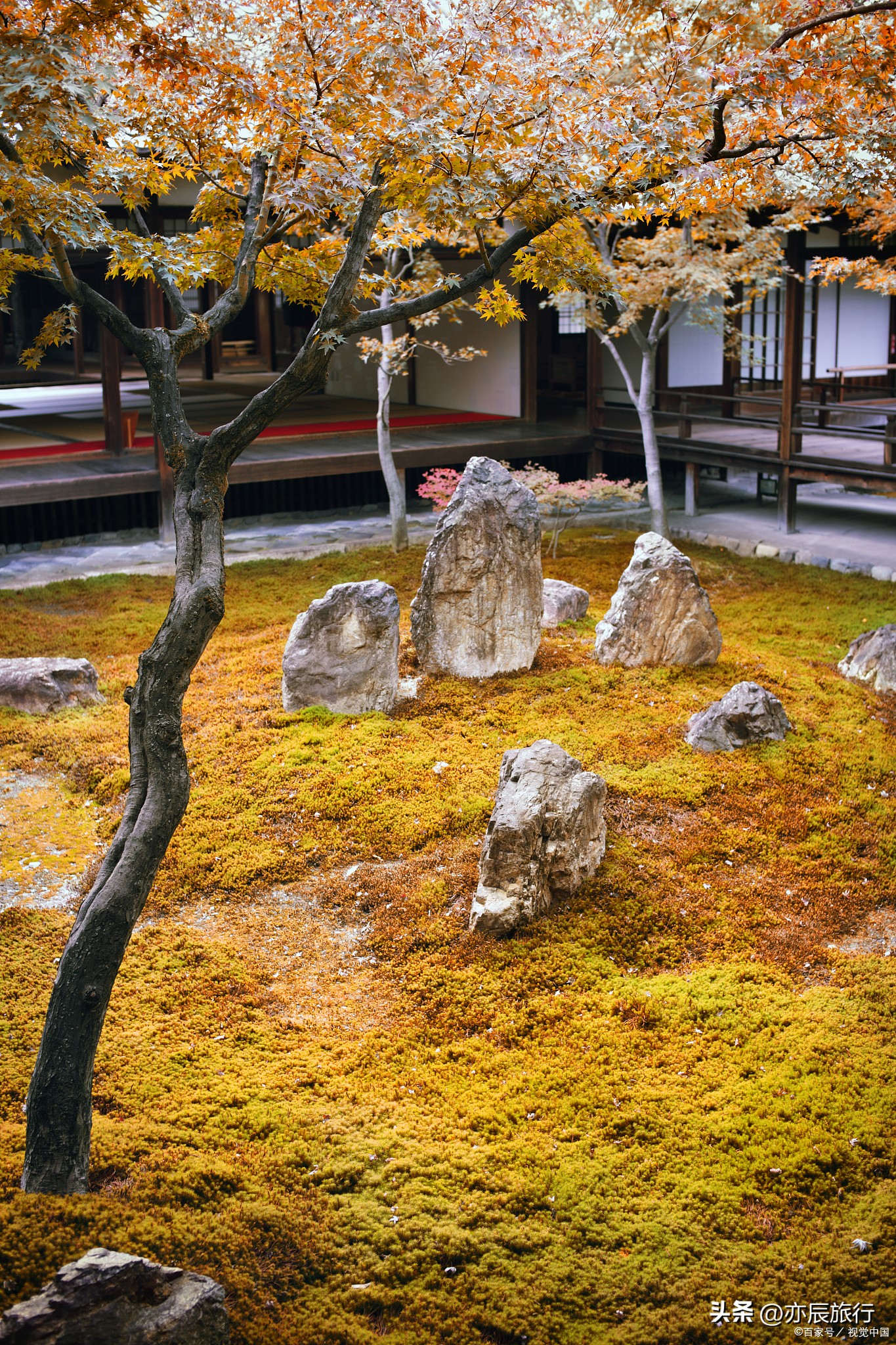 9月晚上杭州最值得去的五个景点,杭州秋天周边一日游好去处