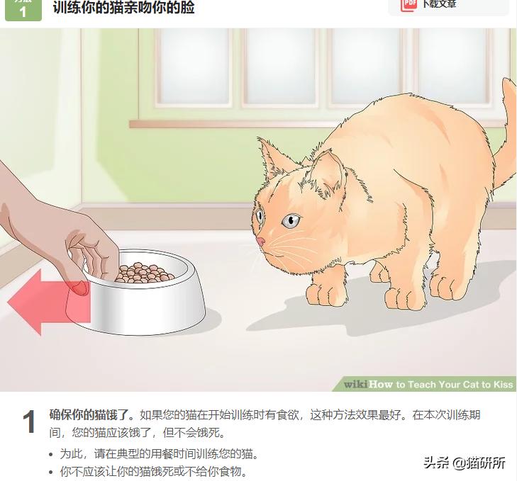 当你亲吻猫咪时它在想什么,情侣亲吻猫咪在想什么