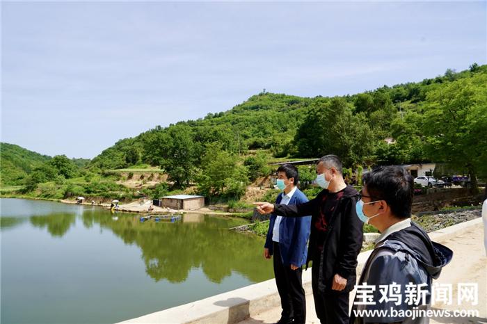 杨百万简历,杨百万的奋斗史