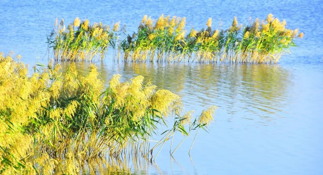 这座海滨小城可真美丽,小众旅行海边小城市