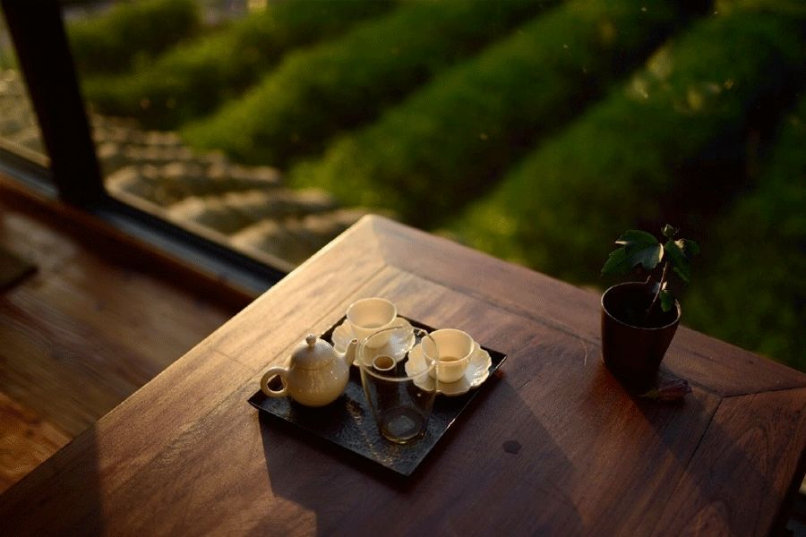 处暑的读音,处暑节气