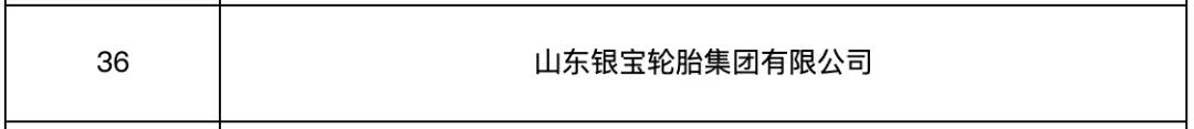 潍坊龙山轮胎有限公司,潍坊民营企业前十强企业