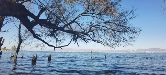 中国旅游短视频开拓者王国平，开创旅游线路短视频订购模式和美学风格及拍摄技巧