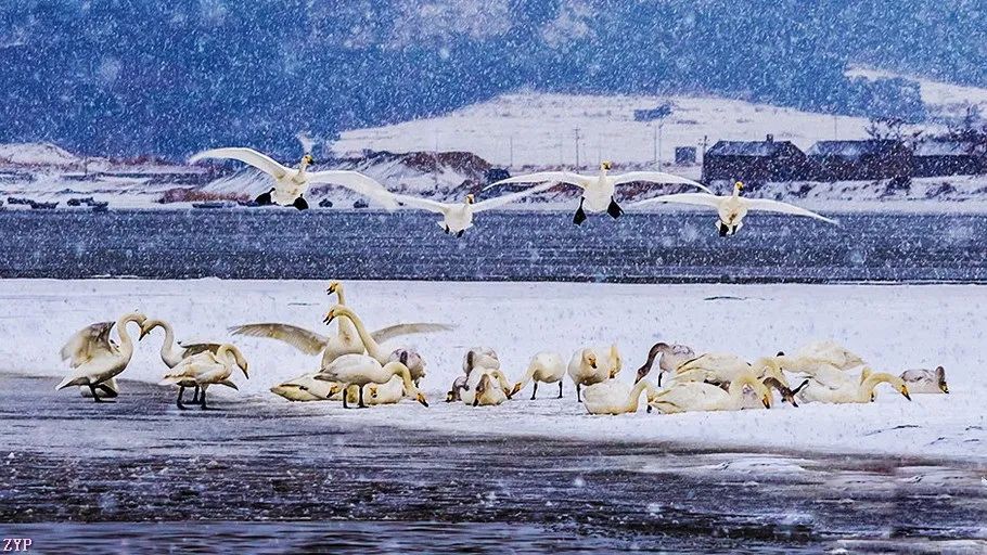 中国人文摄影获奖作品,大美中国摄影作品展获奖