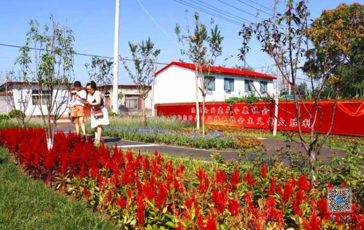 【十项行动·津南行动】在津南，赴一场“文明之约”——天津津南区创建全国文明城区工作综述