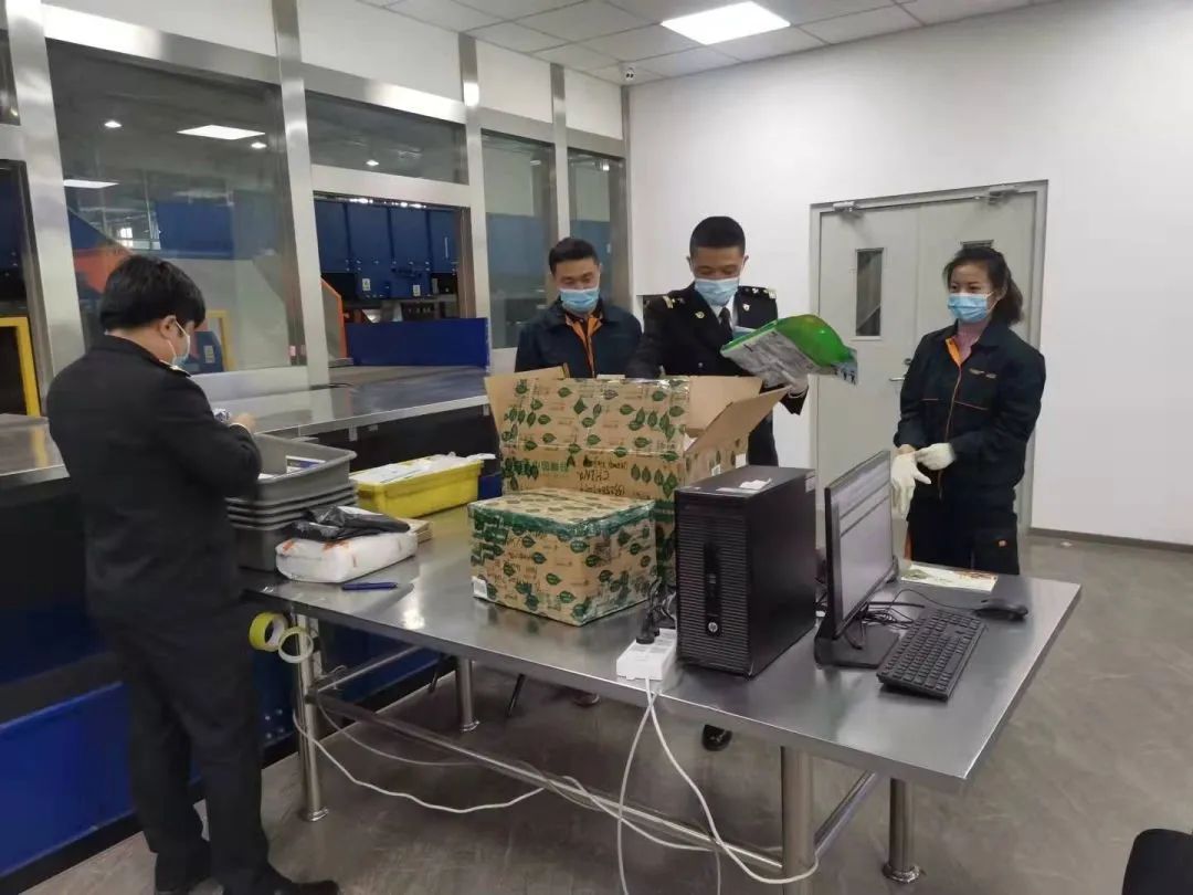 恢复运行的公交车线路,恢复运行最新通知