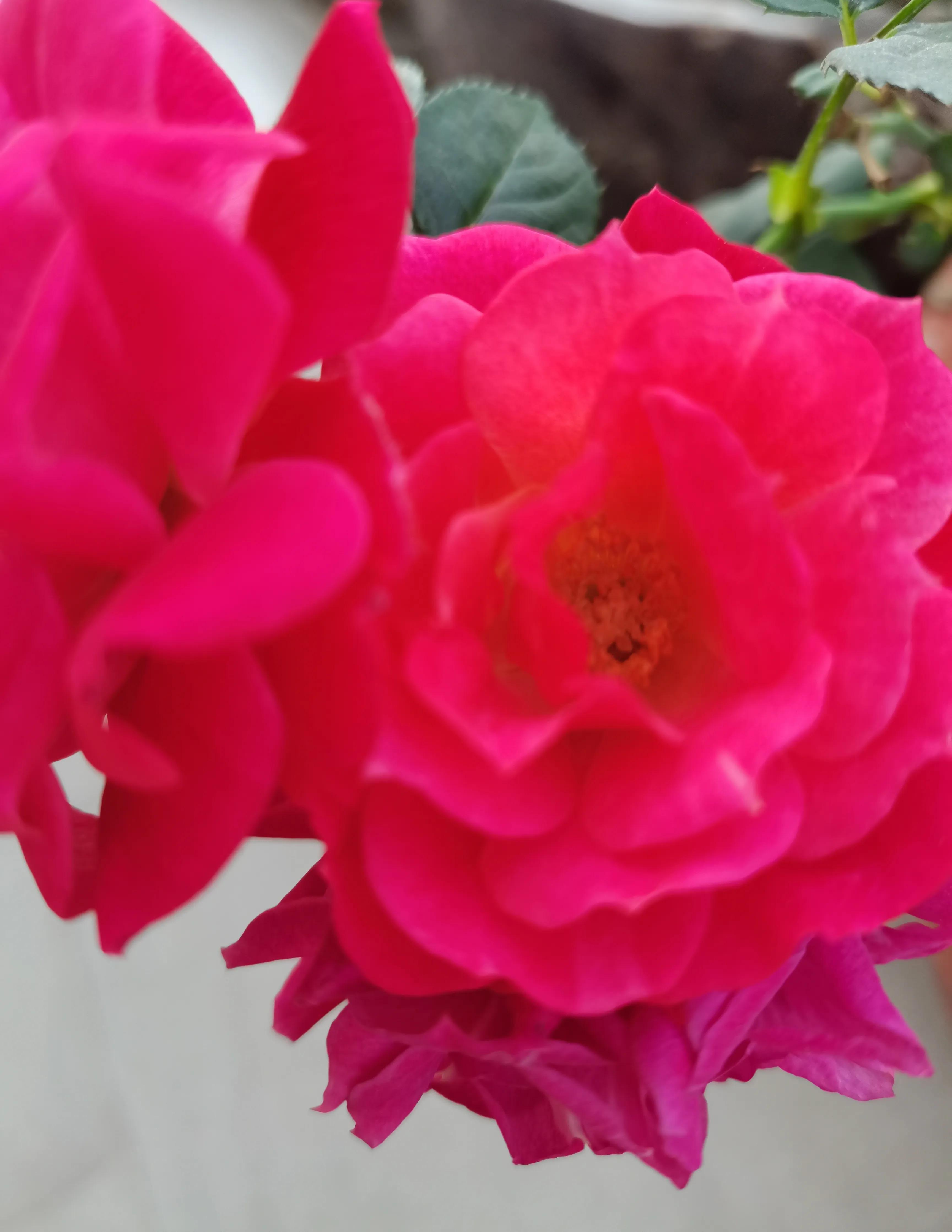 有意义的英语句子励志短句,激励人心的英文短句10字