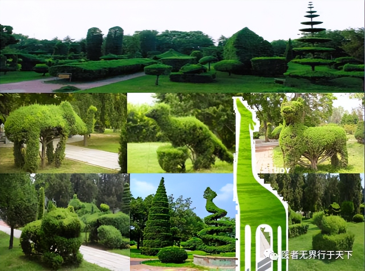 李冠义：图文诗诀赞颂家乡羲皇故都水城淮阳