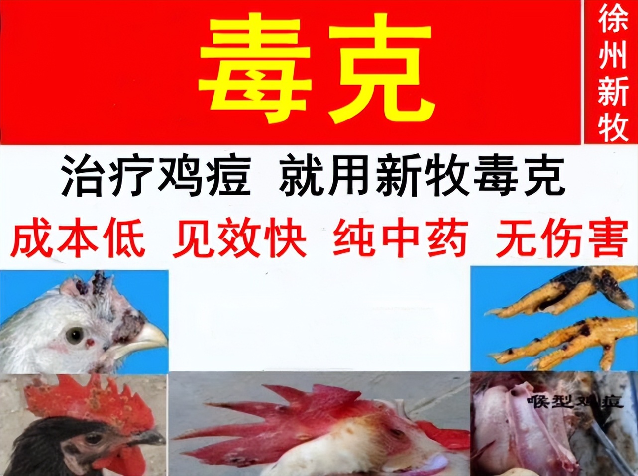 鸡痘高发期最佳治疗方法,鸡痘最好的防治方法