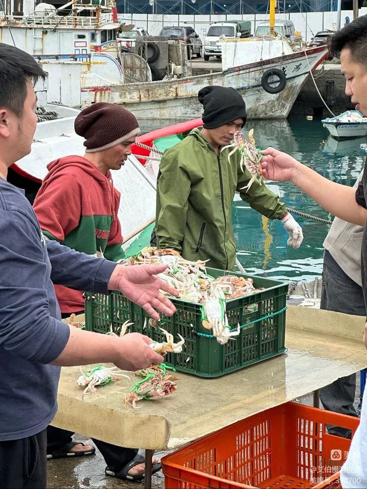 台湾初印象,台湾的初印象