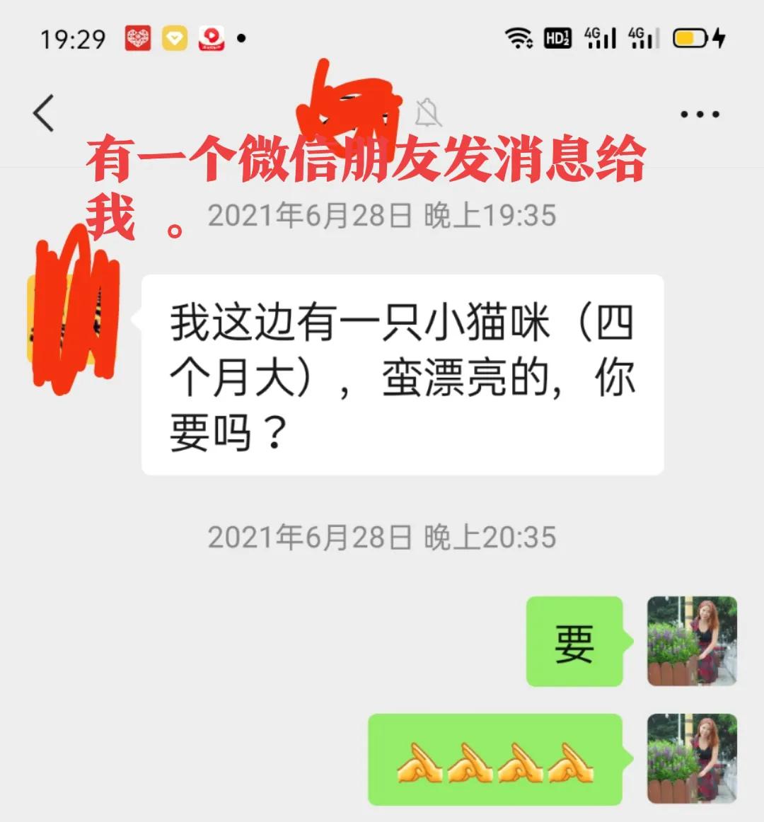 happy鎴戠殑濂冲鎻掓洸,浣爃appy鎴戜篃happy