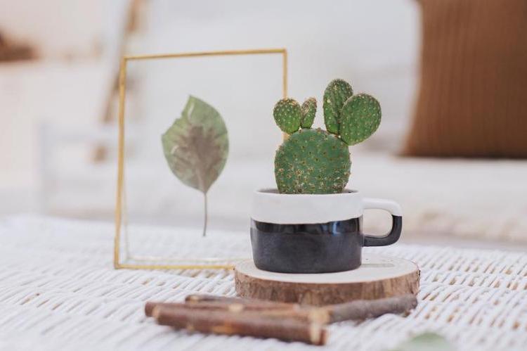 越是有远见的人越懂得投资自己,如果一个人不舍得钱投资怎么劝说