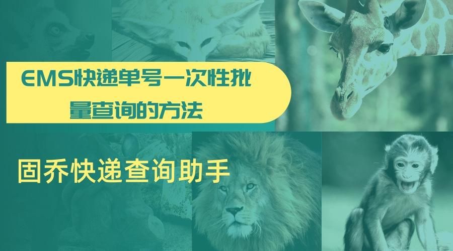 ems国际快递单号查询不到怎么办,苹果发货的是ems单号怎么查询