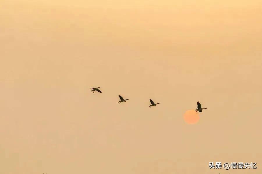 李白在安徽都写过哪些诗,李白在宣城有几首诗