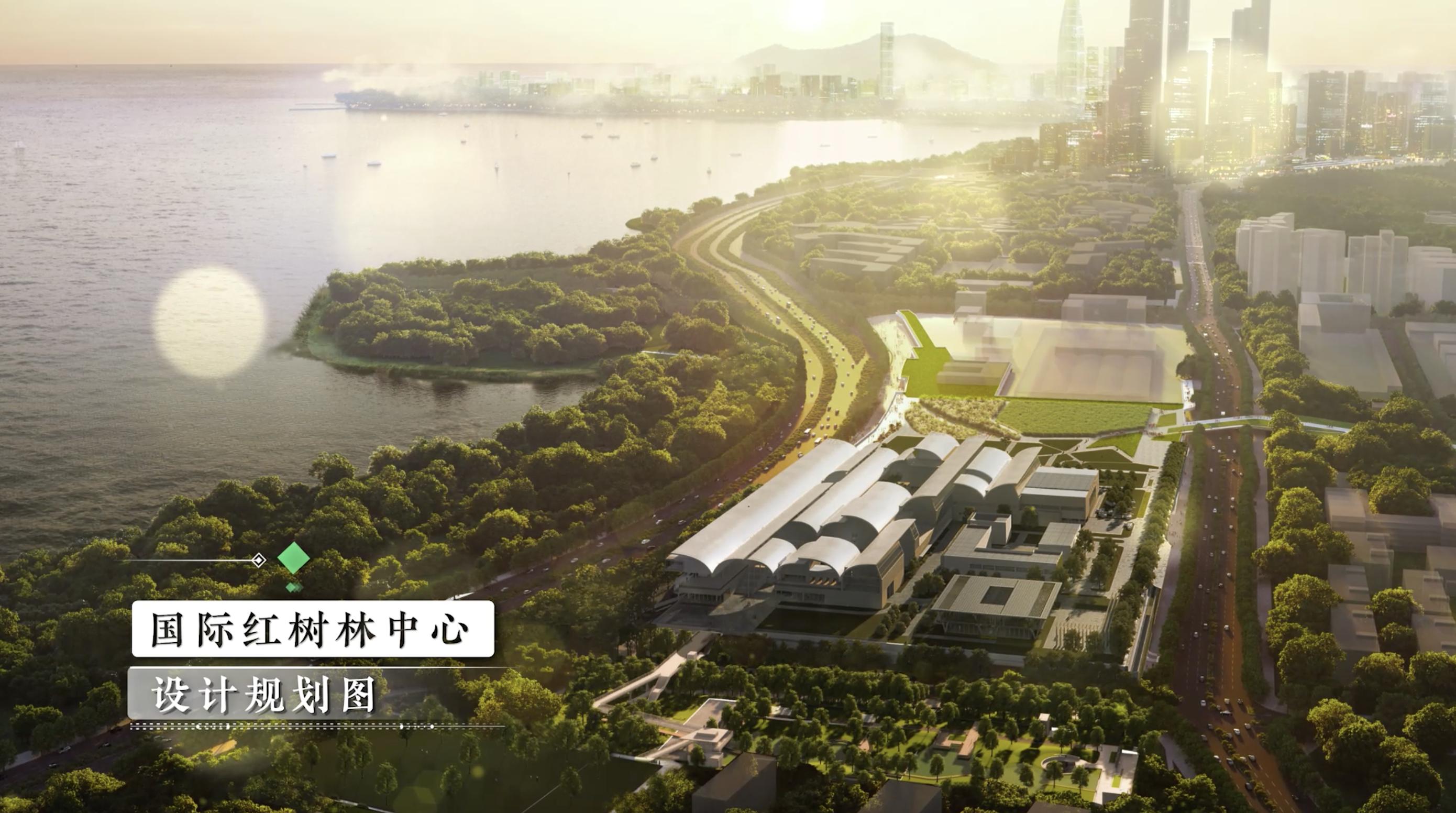 深圳红树林观鸟,深圳福田红树林公园观鸟攻略