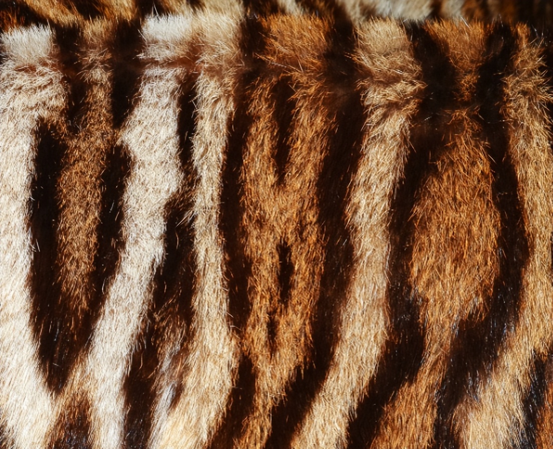 小伙创业年亏40万后逆袭,小伙创业亏损600万