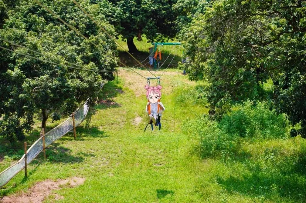 岭南景区民宿,岭南式民宿