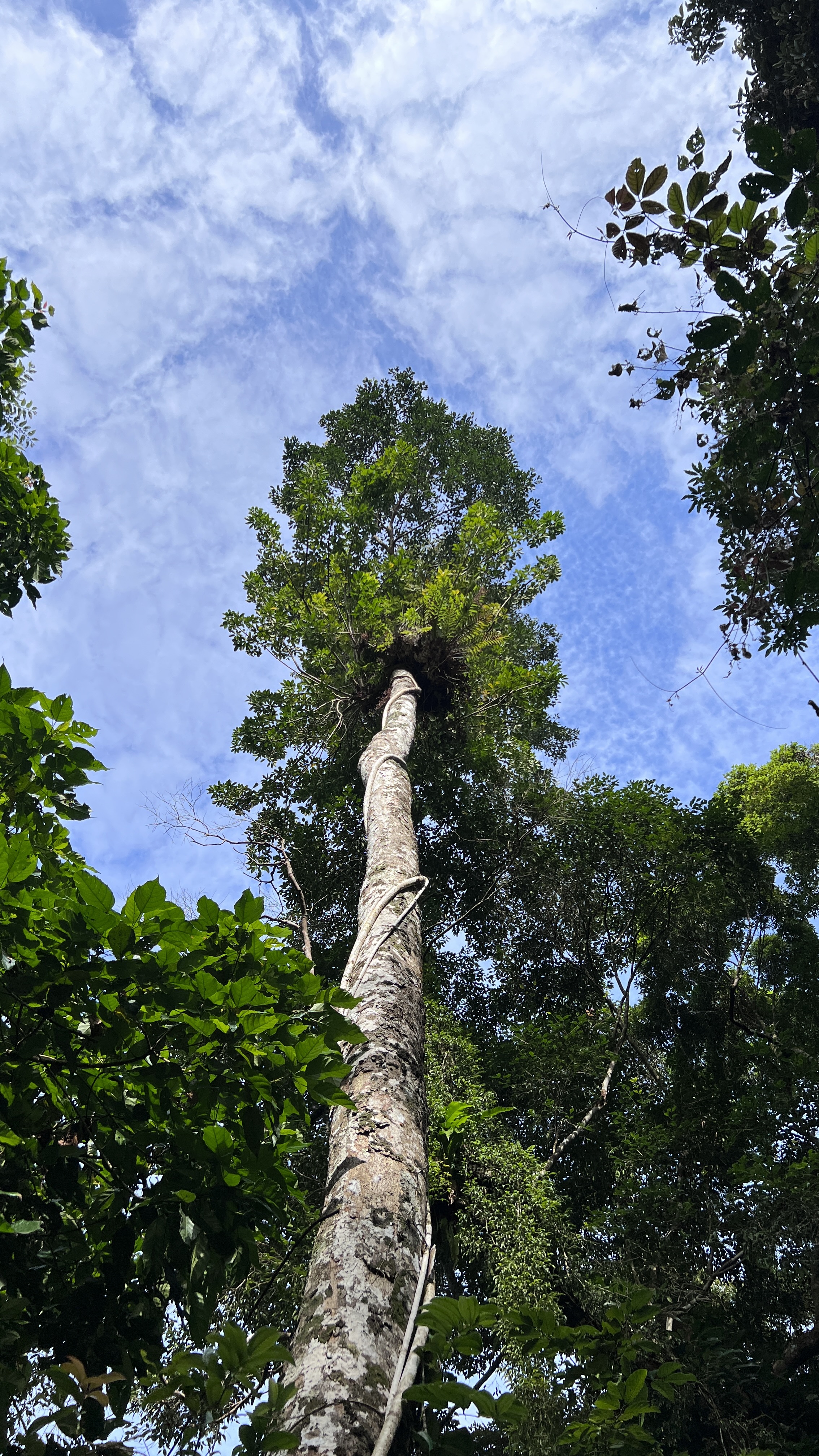 从北京到海南记录我的自驾之旅,北京到海南沿途自驾游攻略最新