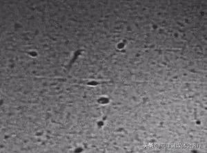 纯净水能除氯吗,精子稀释液可以用生理盐水吗