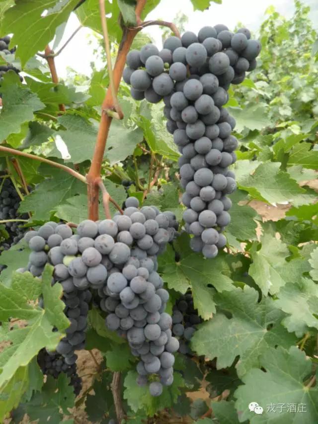 不忘初心继续前行方得始终,不忘初心继续前进攻坚克难