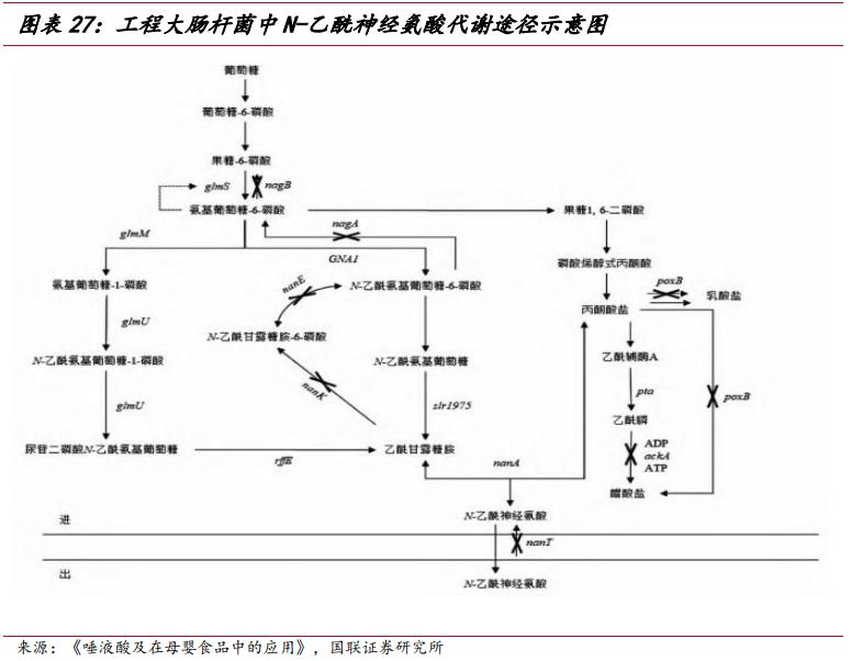 武汉嘉必优生物技术,嘉必优武汉生物