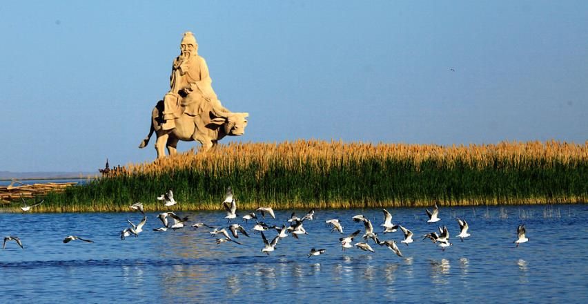 额济纳胡杨林旅游详细攻略,额济纳旗胡杨林游攻略
