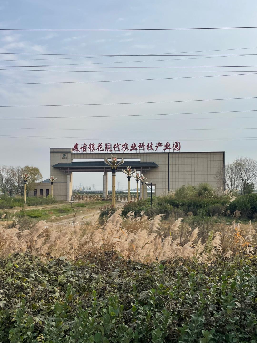 董董骑行山东,懂懂骑山东