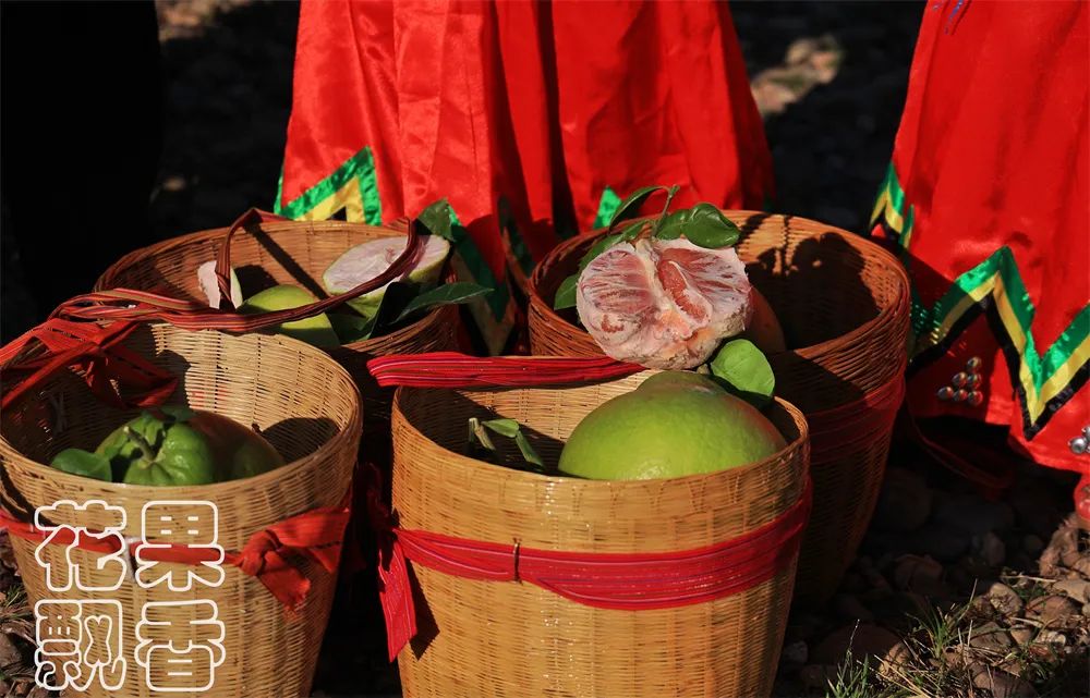养殖十大暴利品种,暴利种植品种
