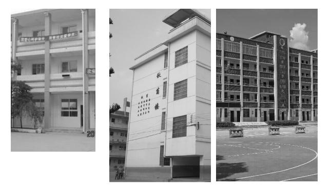 温州未来小学集团绿轴校区,温州小学改建项目