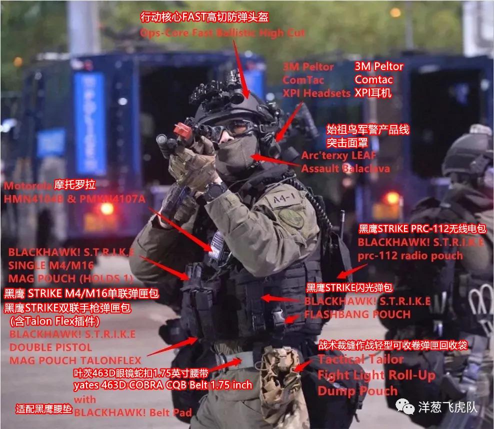 虎年说虎科普视频,虎年说虎运用了哪些说明方法